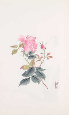 [Альбом рисунков коллекции Жунбаочжай. В 4 ч. Ч. 1-4. Пекин, 1957].